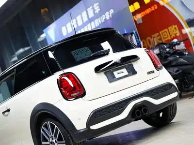 MINI MINI 2022