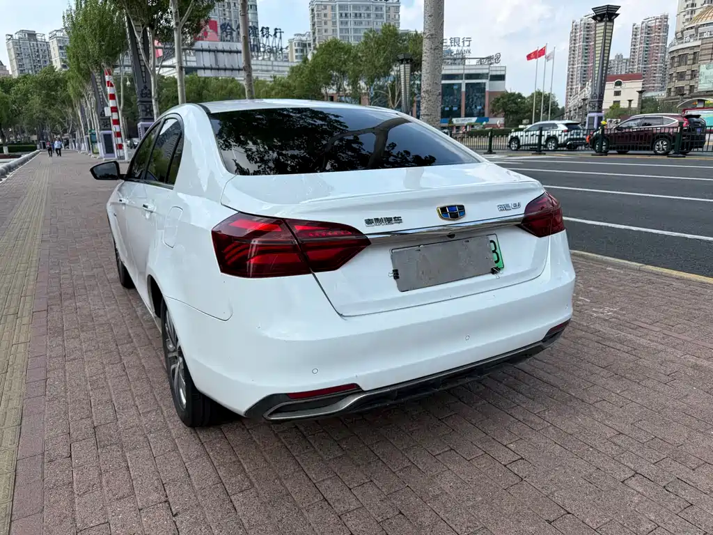 Geely New Energy 2018