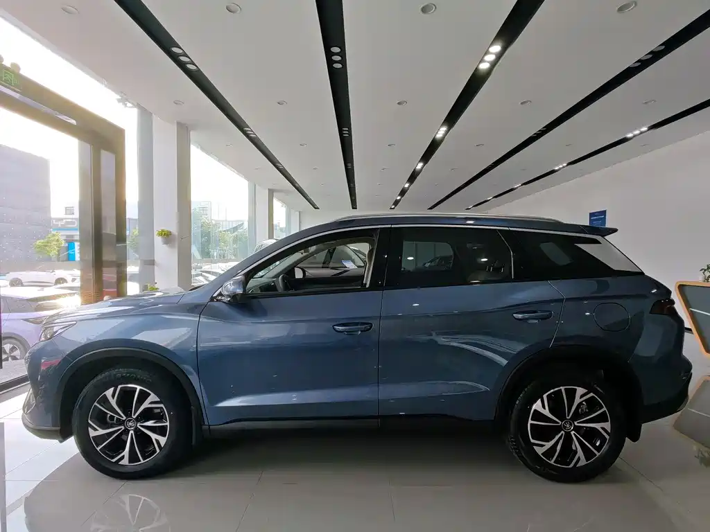 BYD Song Pro New Energy 2025 — фото 8