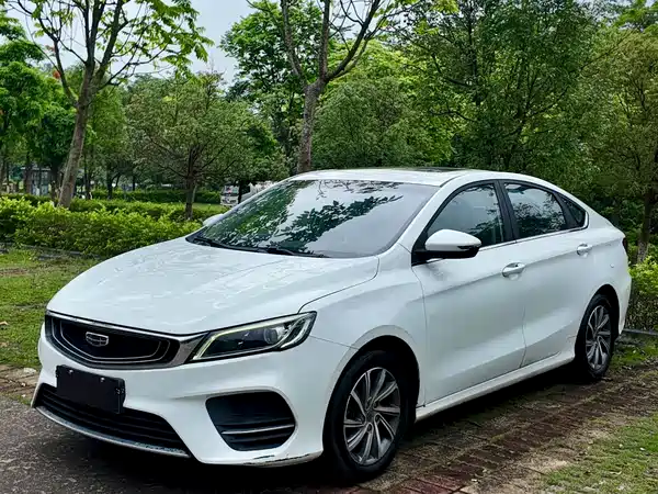 Geely Binrui 2019