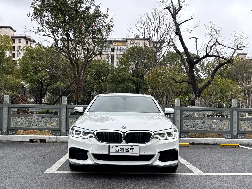 BMW 5 Series 2020 — фото 2