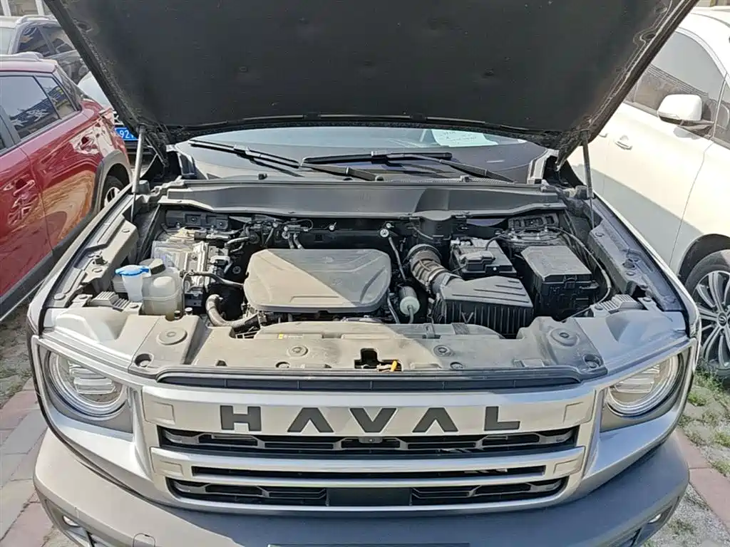 Haval Big Dog 2024 — фото 20