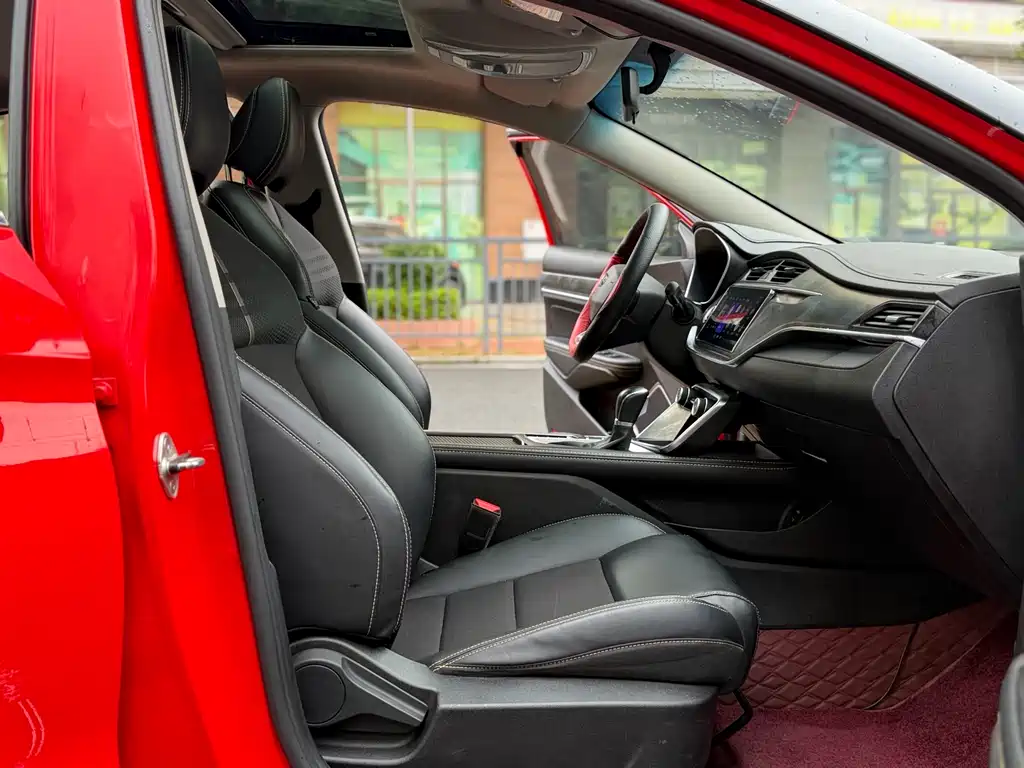 Geely Binrui 2021