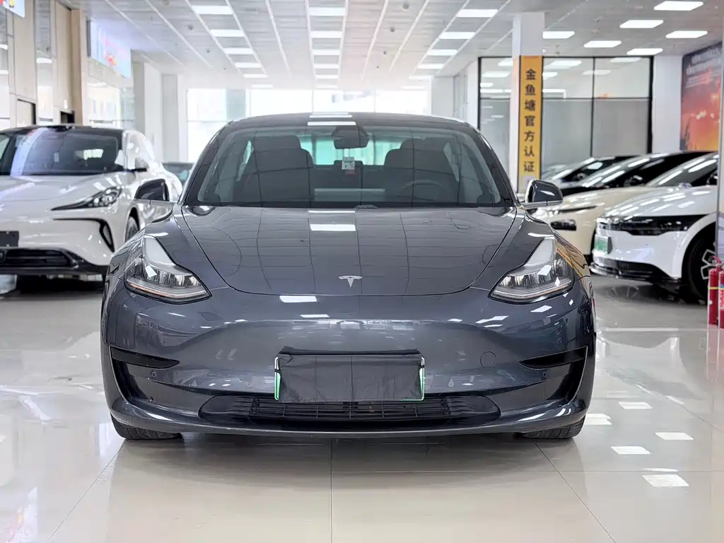 Tesla Model 3 2021 — фото 2