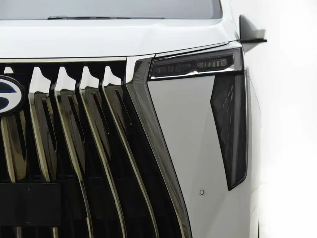 GAC Motor Trumpchi M8 2023 — фото 14