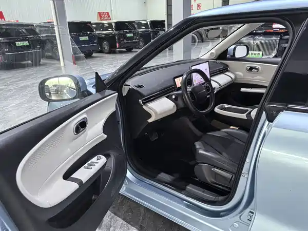 Dongfeng Nano 01 2024