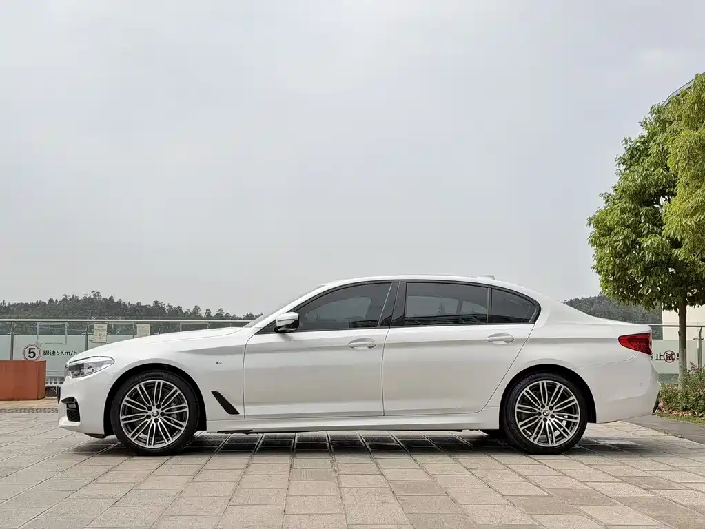 BMW 5 Series 2019 — фото 10