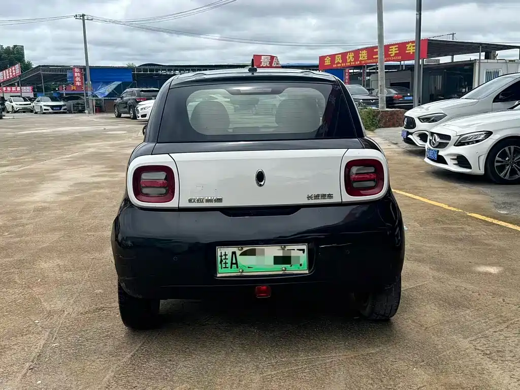 Ora Black Cat 2021