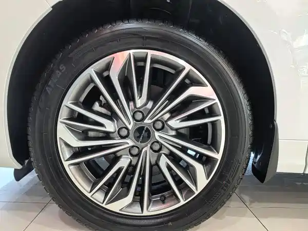 Dongfeng Popular Yacht 2024