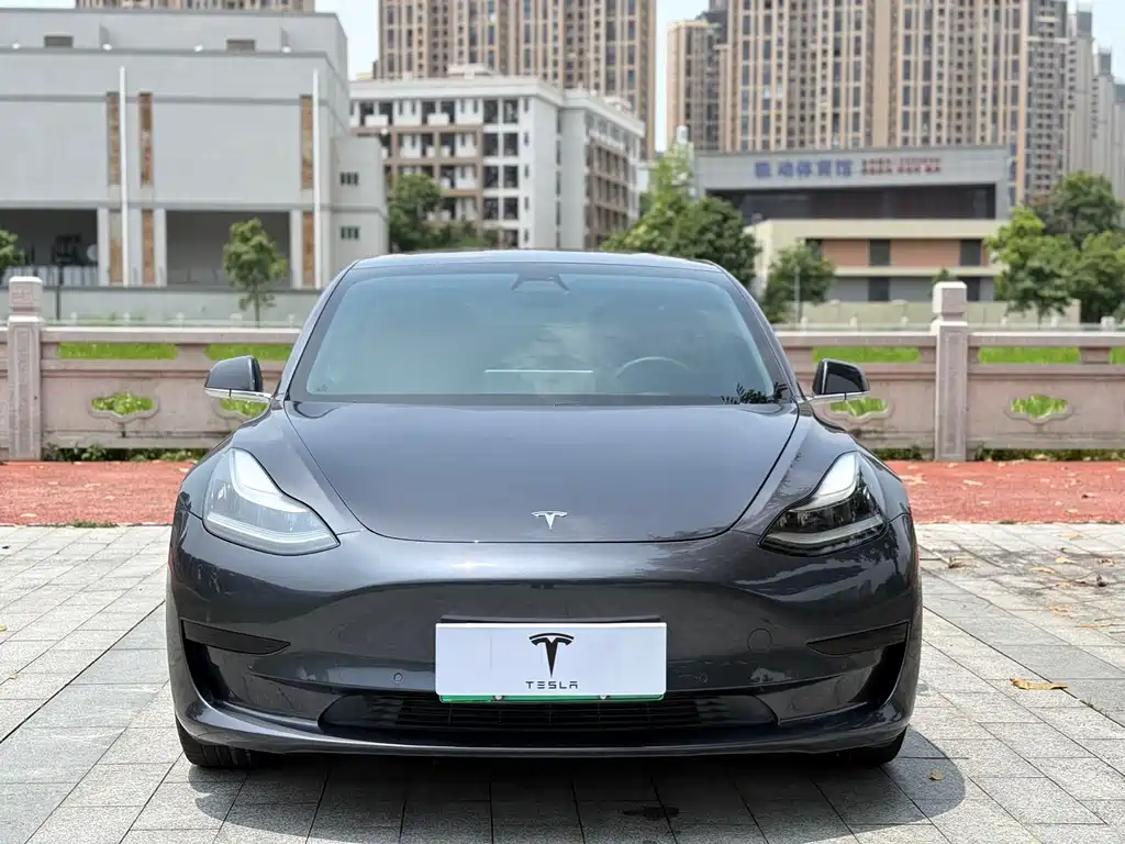Tesla Model 3 2020 — фото 2