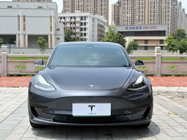 Tesla Model 3 2020