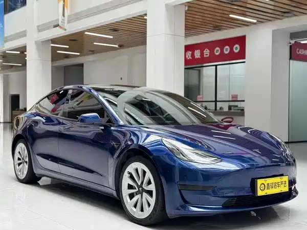 Tesla Model 3 2021