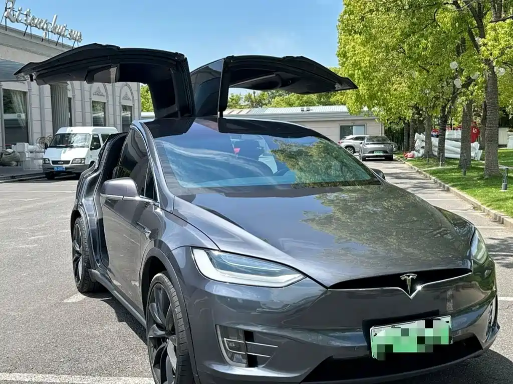 Tesla Model X 2021 — фото 2