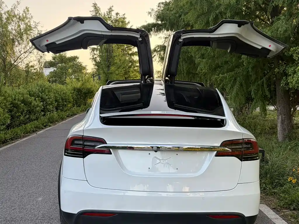 Tesla Model X 2020 — фото 5