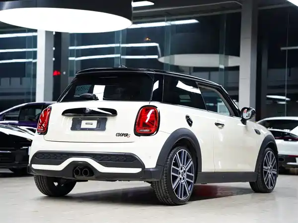 MINI MINI 2022