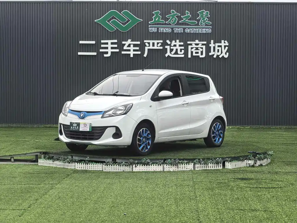 Changan EV 2019 — фото 1