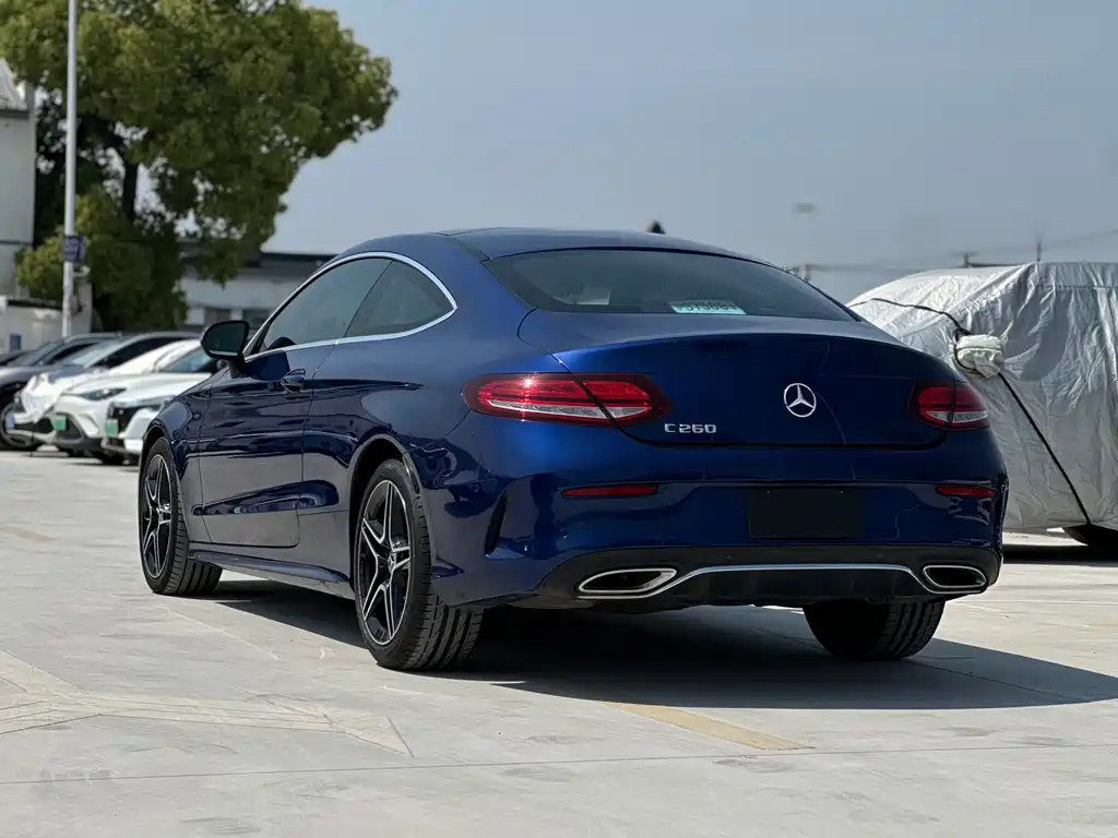 Mercedes-Benz C-Class 2019 — фото 18