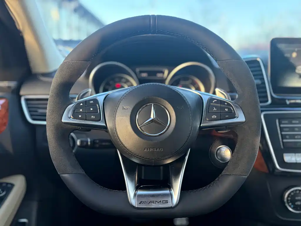 Mercedes-Benz GLS AMG 2016 — фото 12