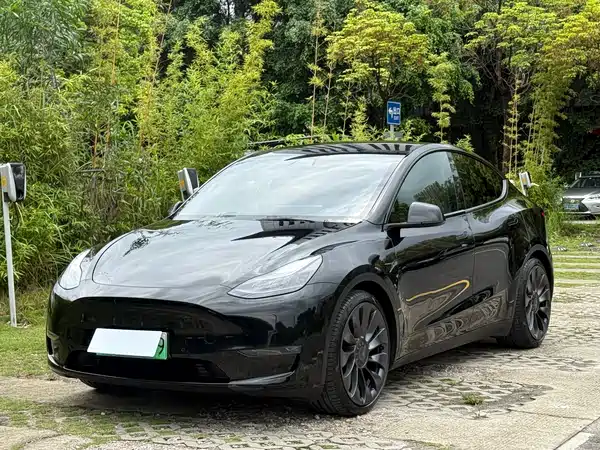 Tesla Model Y 2021