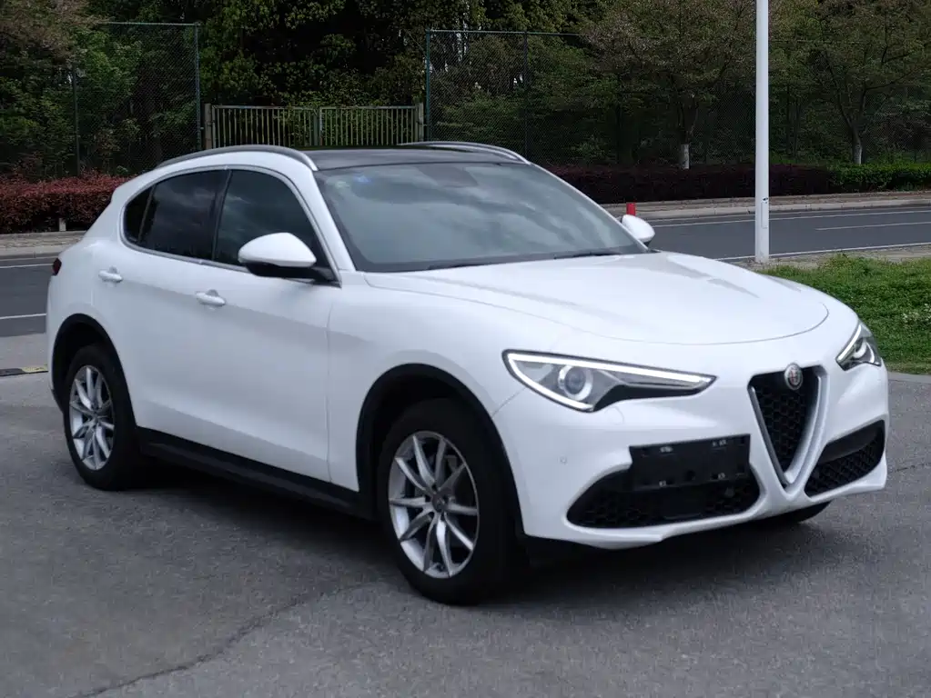Alfa Romeo Stelvio 2019 — фото 1