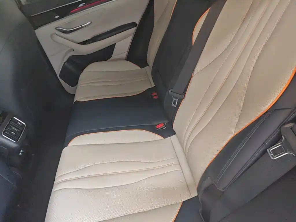BYD Song PLUS New Energy 2021 — фото 17