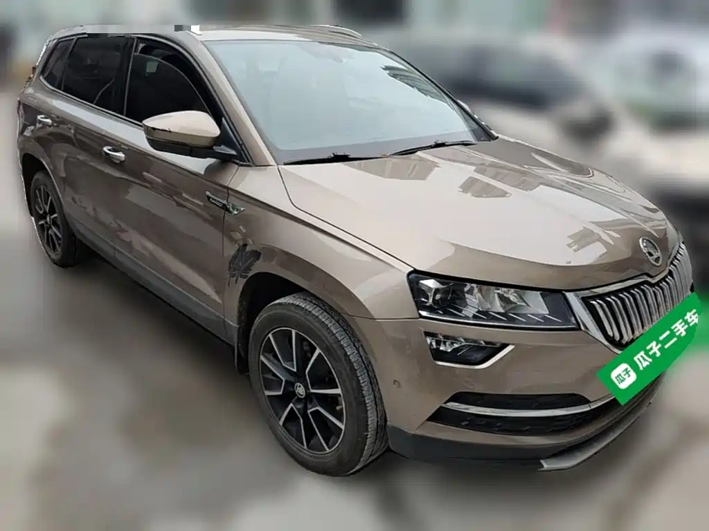Skoda Karoq 2020 — фото 7