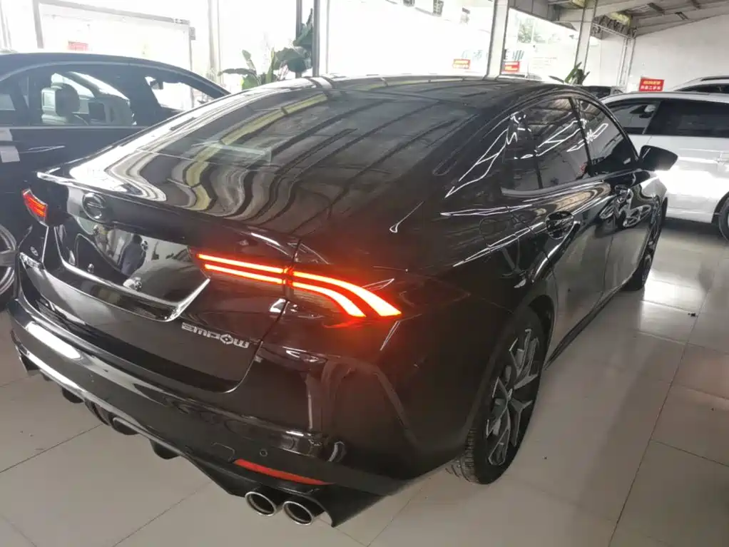 GAC Motor Shadow Leopard 2023 — фото 7