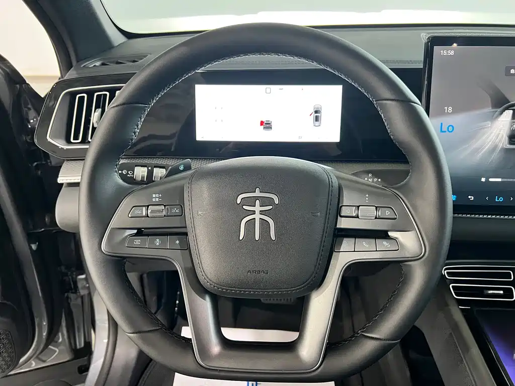 BYD Pro New Energy 2026 — фото 20