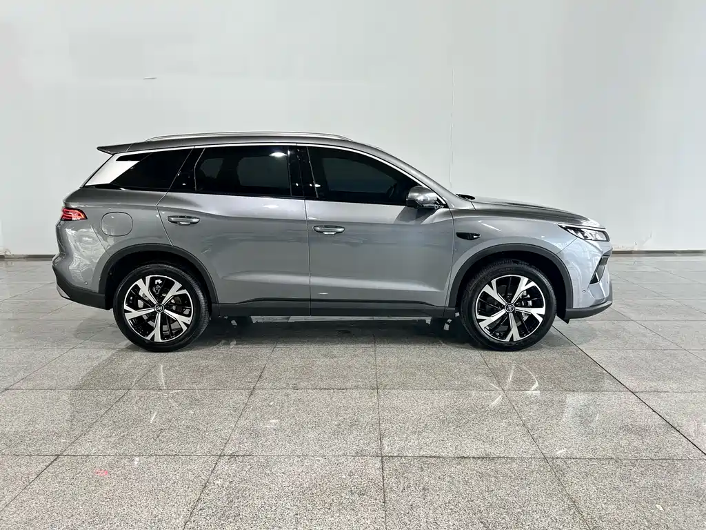 BYD Pro New Energy 2026 — фото 2