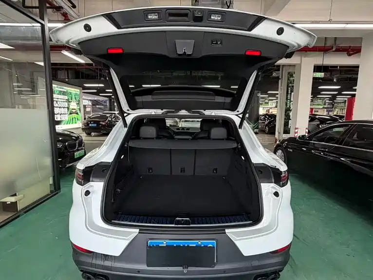 Porsche Cayenne 2020 — фото 13