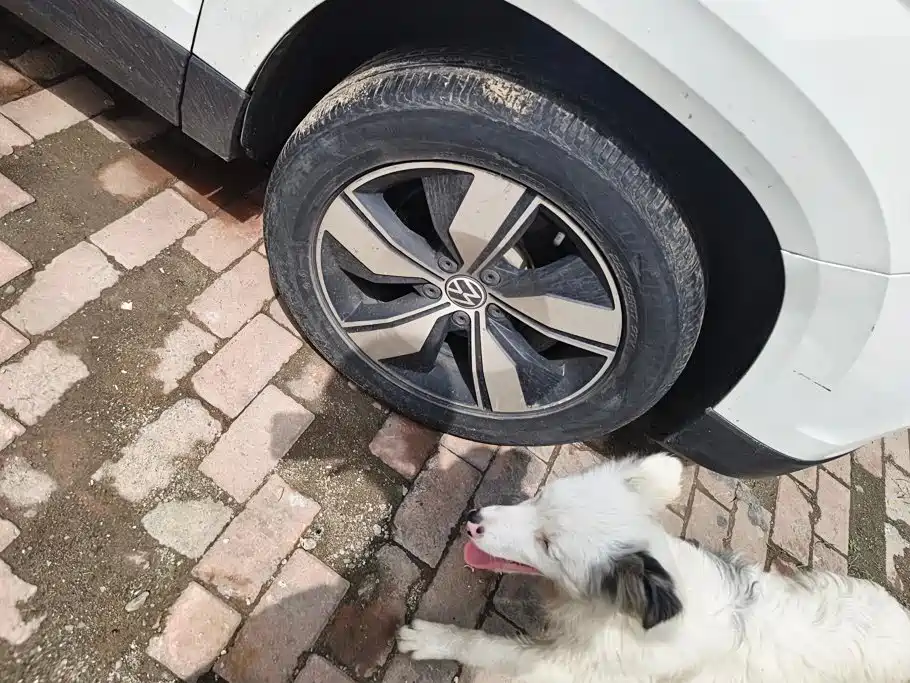 Volkswagen Tuyue 2021