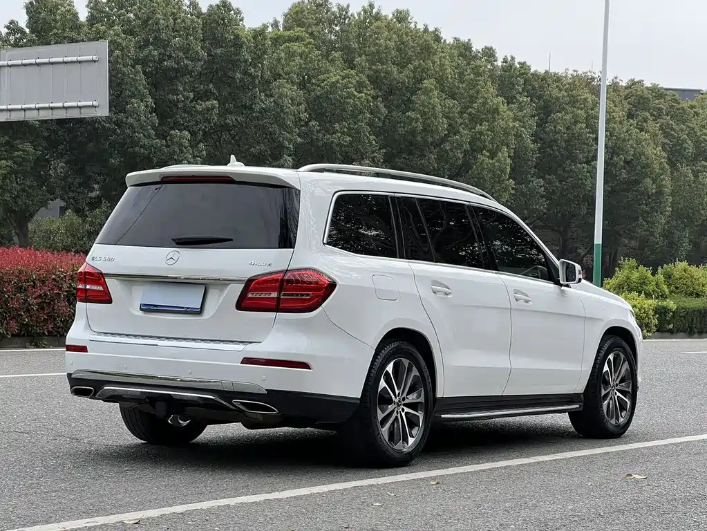 Mercedes-Benz GLS 2017 — фото 19