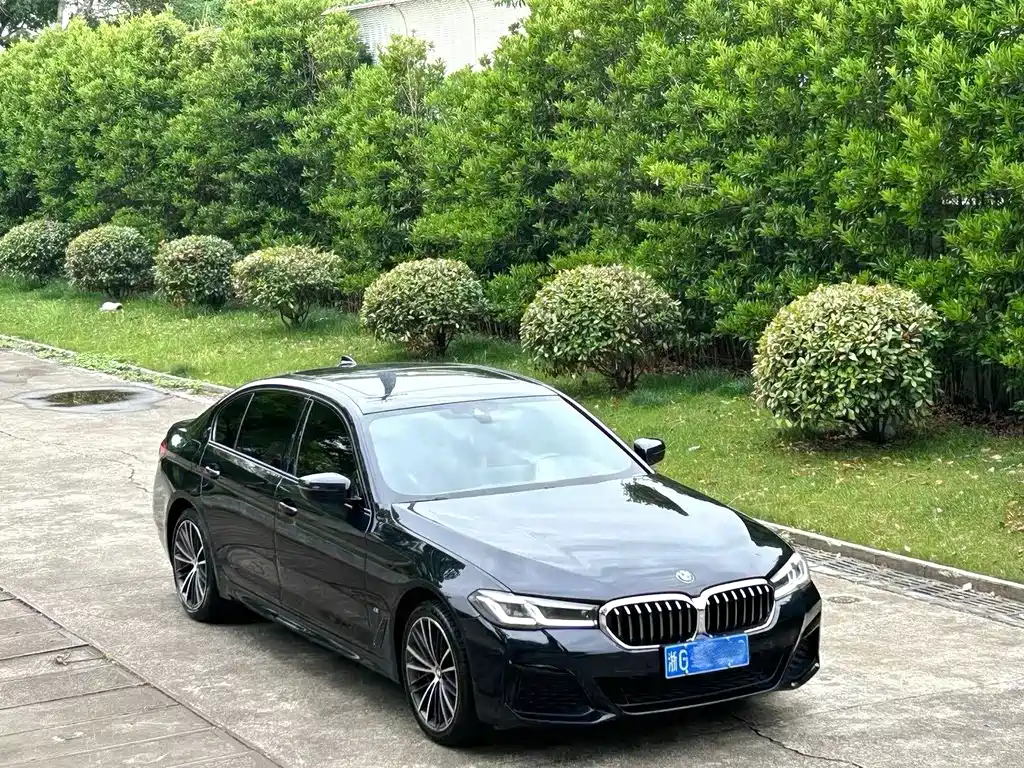 BMW 5 Series 2021