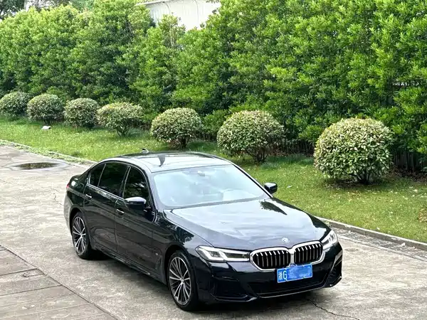 BMW 5 Series 2021