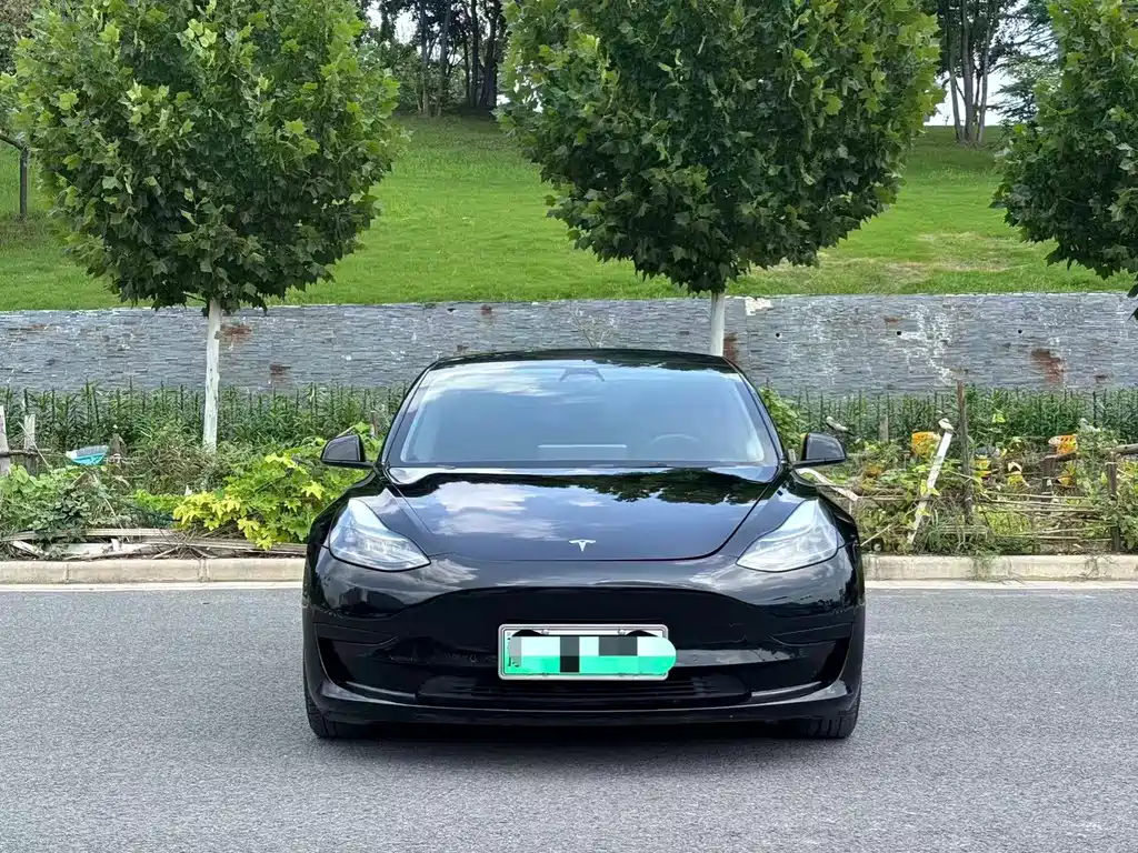Tesla Model 3 2023 — фото 2
