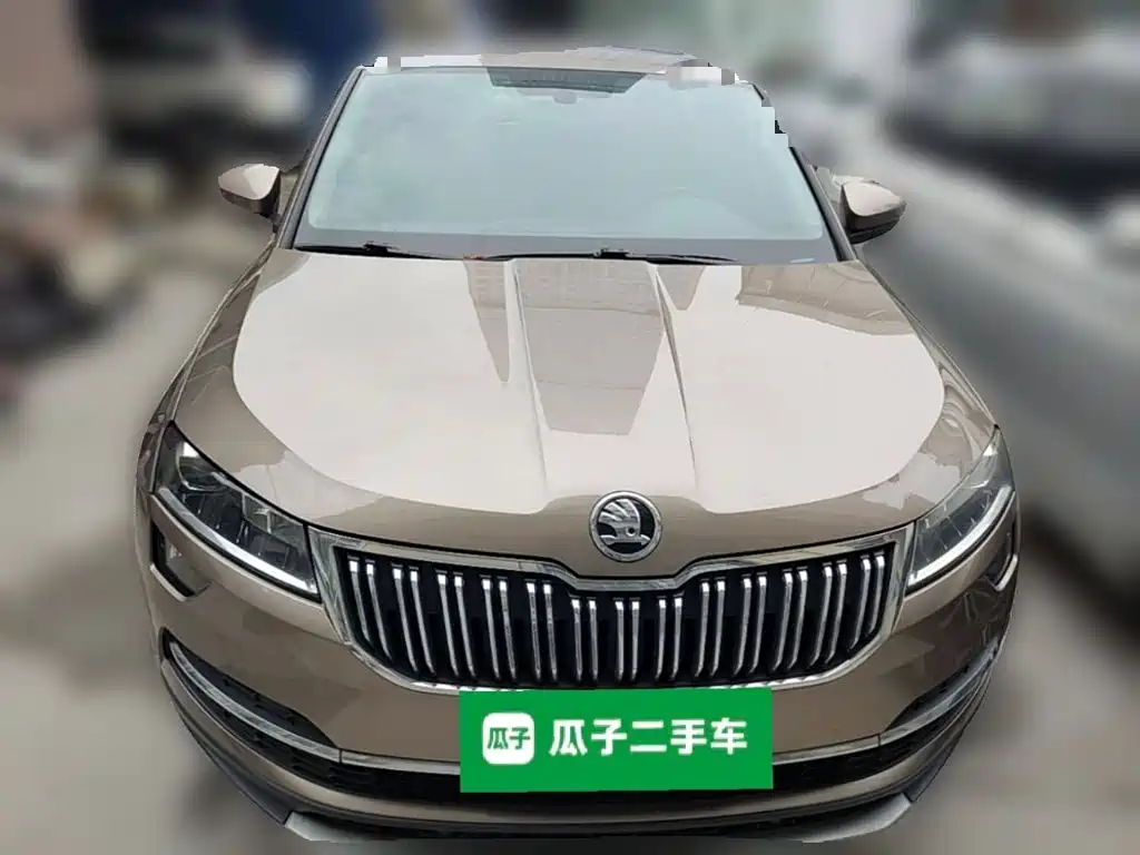 Skoda Karoq 2020 — фото 5