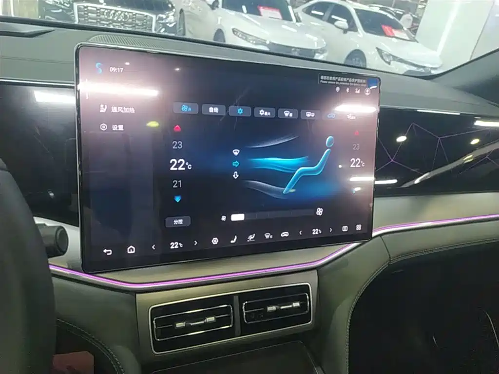 BYD L DM-i 2025 — фото 13