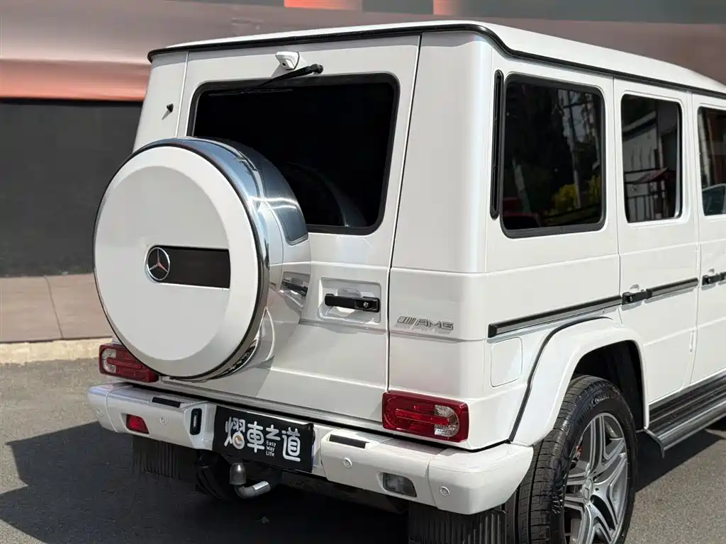 Mercedes-Benz G-Class AMG 2015 — фото 24