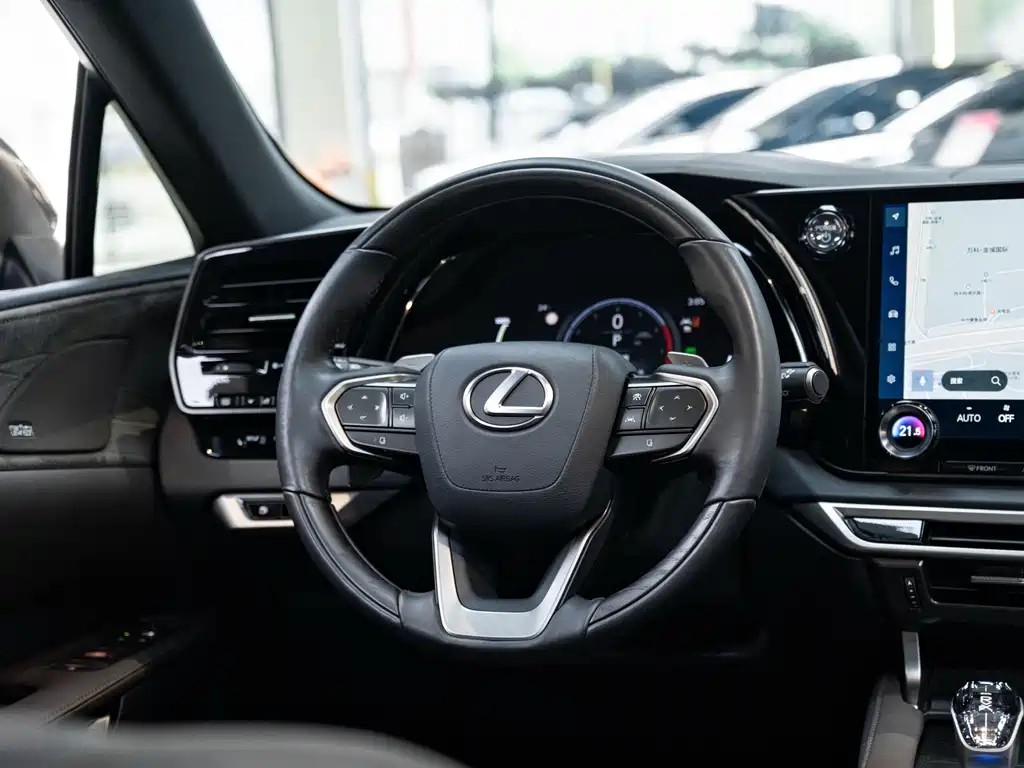 Lexus RX New Energy 2023 — фото 14