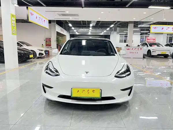 Tesla Model 3 2020