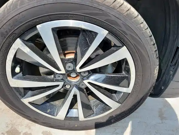 Volkswagen Tharu 2019