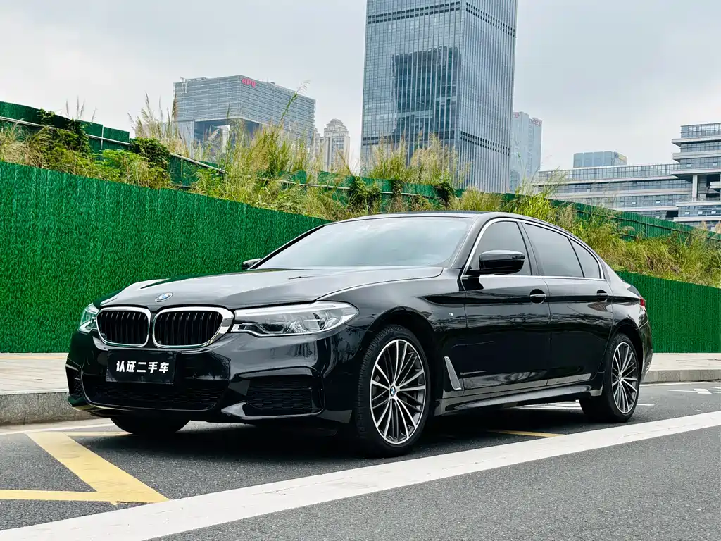 BMW 5 Series 2020 — фото 1