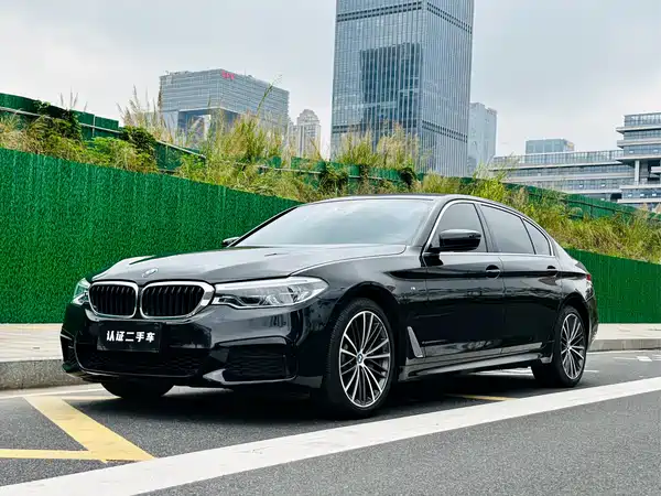 BMW 5 Series 2020
