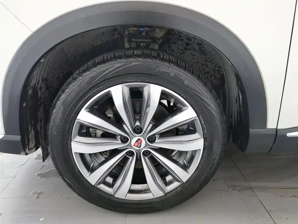 Roewe RX5 MAX 2020 — фото 17