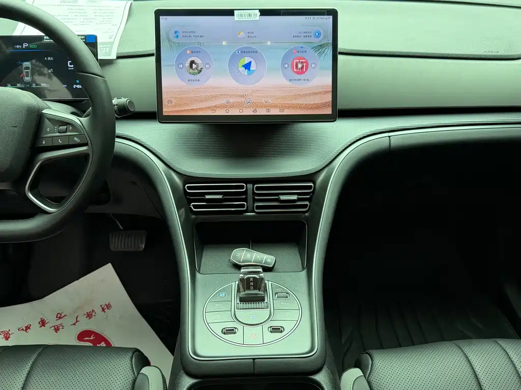 BYD Sealion 05 DM-i 2025 — фото 11