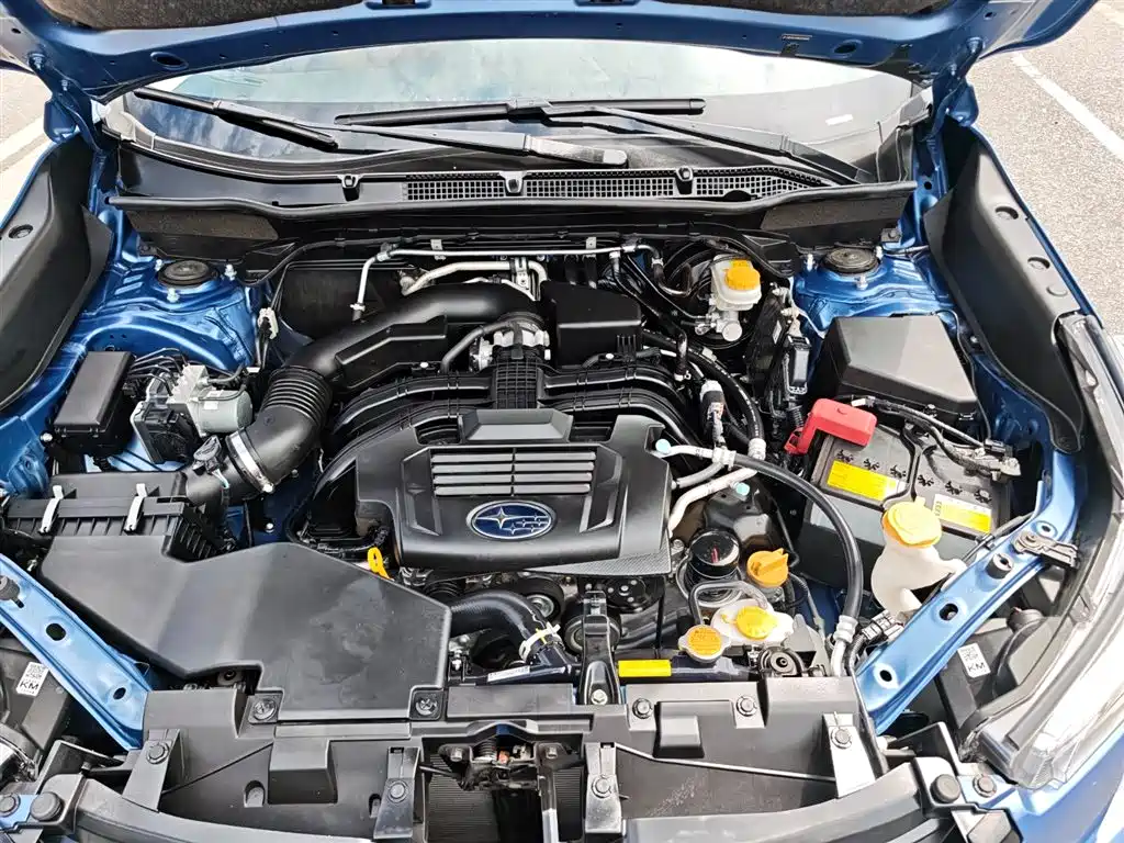 Subaru Forester 2023 — фото 30