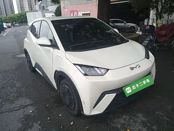 BYD Seagull 2024