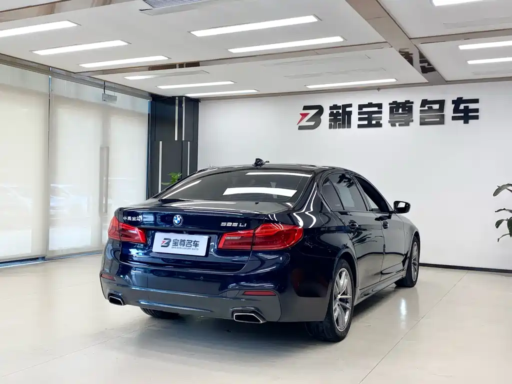 BMW 5 Series 2019 — фото 19