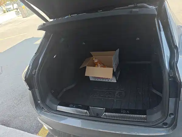 Volkswagen ID.4 X 2022