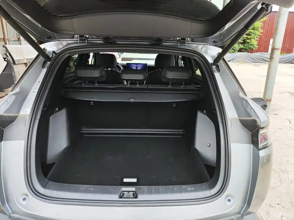 BYD L DM-i 2025 — фото 9